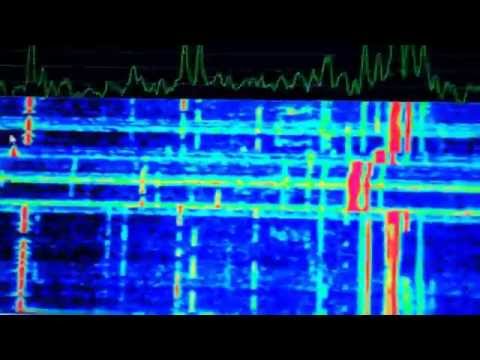 Elecraft K3 and RFSpace NetSDR as panadapter