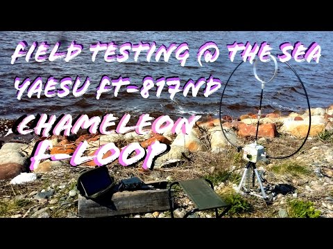 Field Test @ The Sea | FT-817 Chameleon F-Loop
