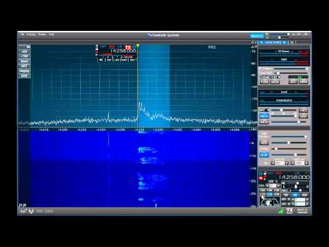 Icom 756 Pro vs  Flex 6300