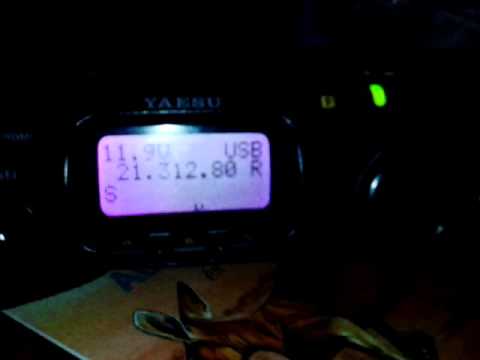 P49Y reception with FT817ND